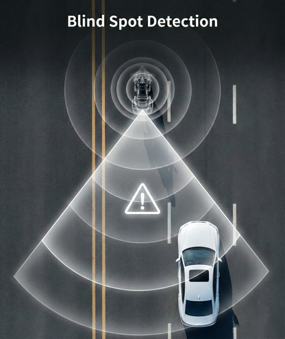 Bikelabs Sentinel Display System